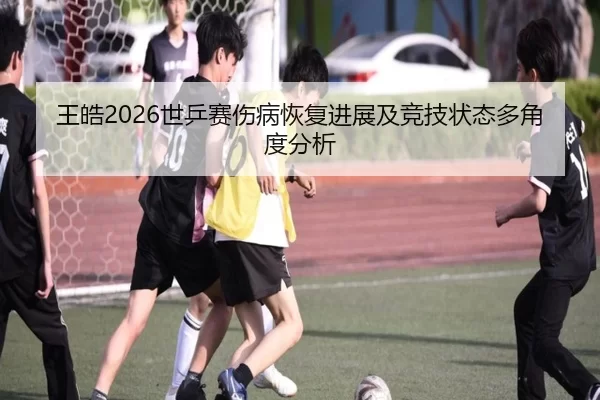王皓2026世乒赛伤病恢复进展及竞技状态多角度分析